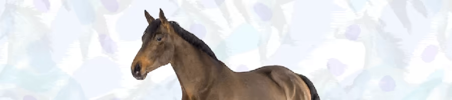 Horse Magnifier: The Full Horse video 1