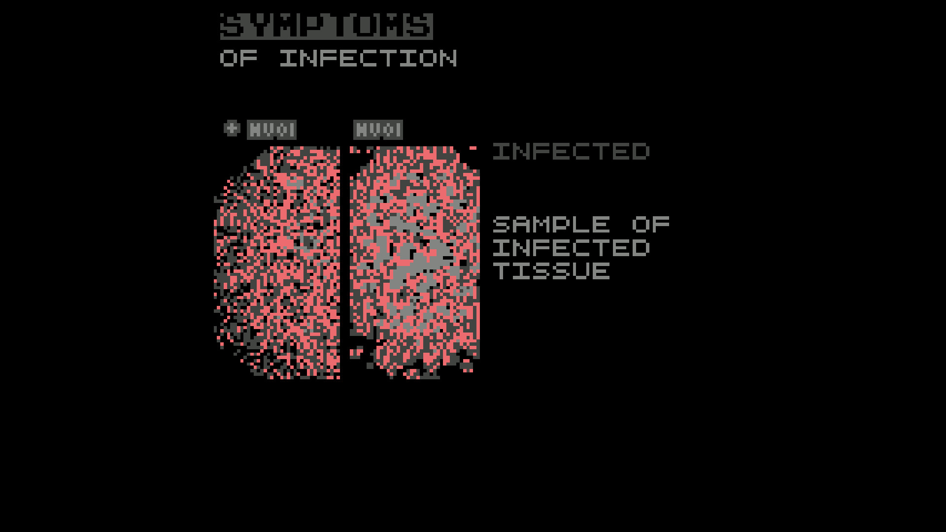 Screenshot Symptoms of Infection
