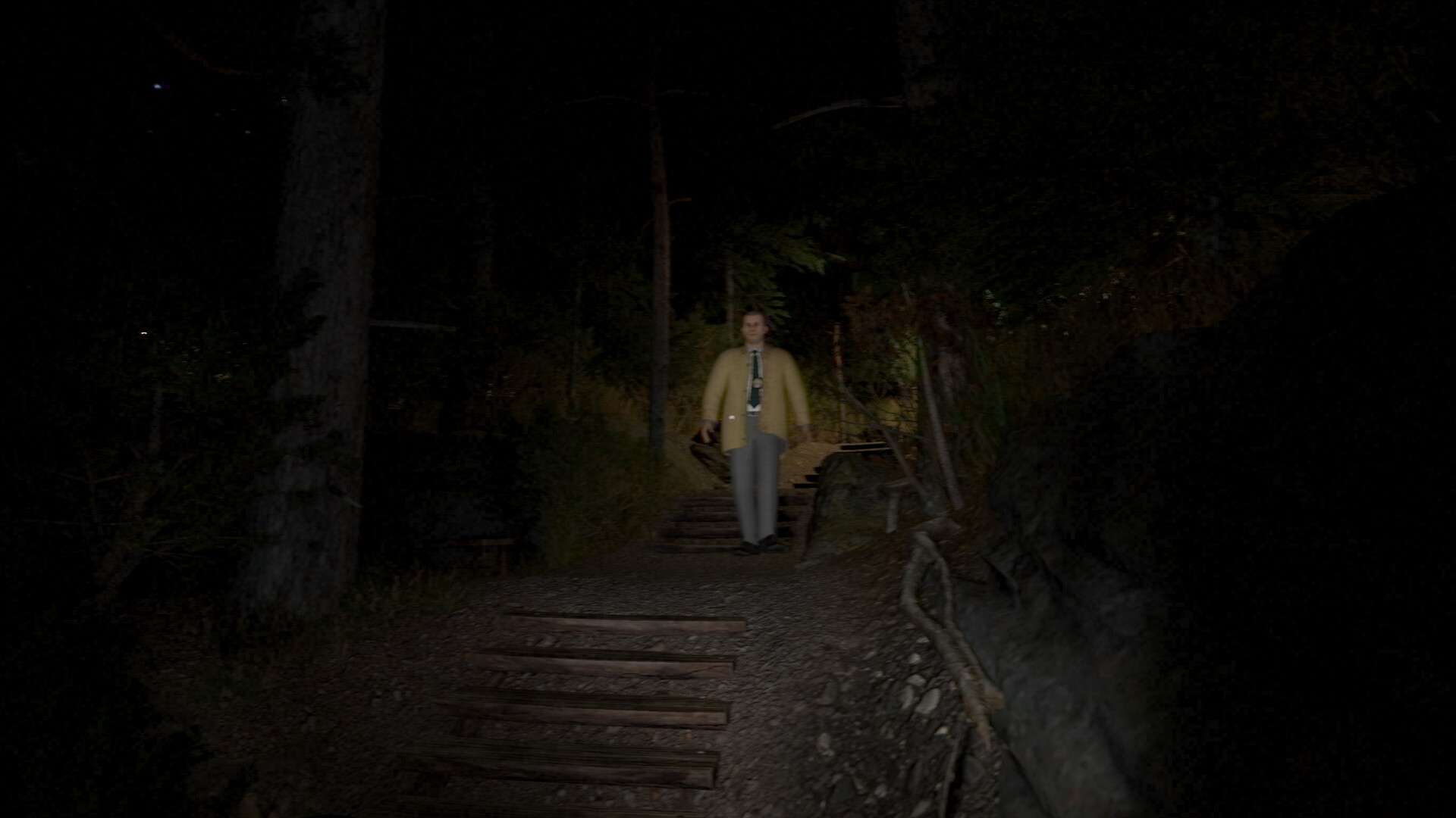 SILVER FALLS screenshot #4