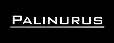Palinurus