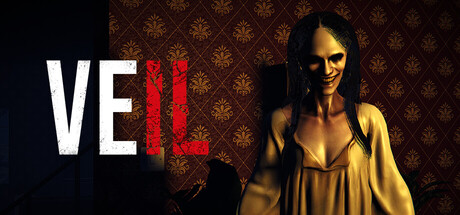 Steam cover for Veil.