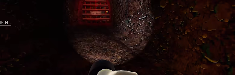 Barrow Bros video 5