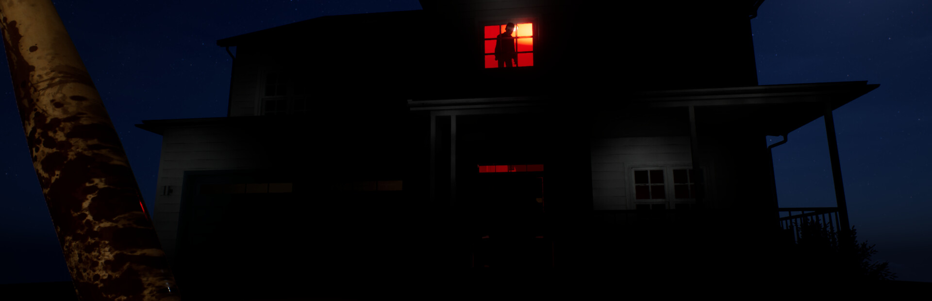 Roughhousing