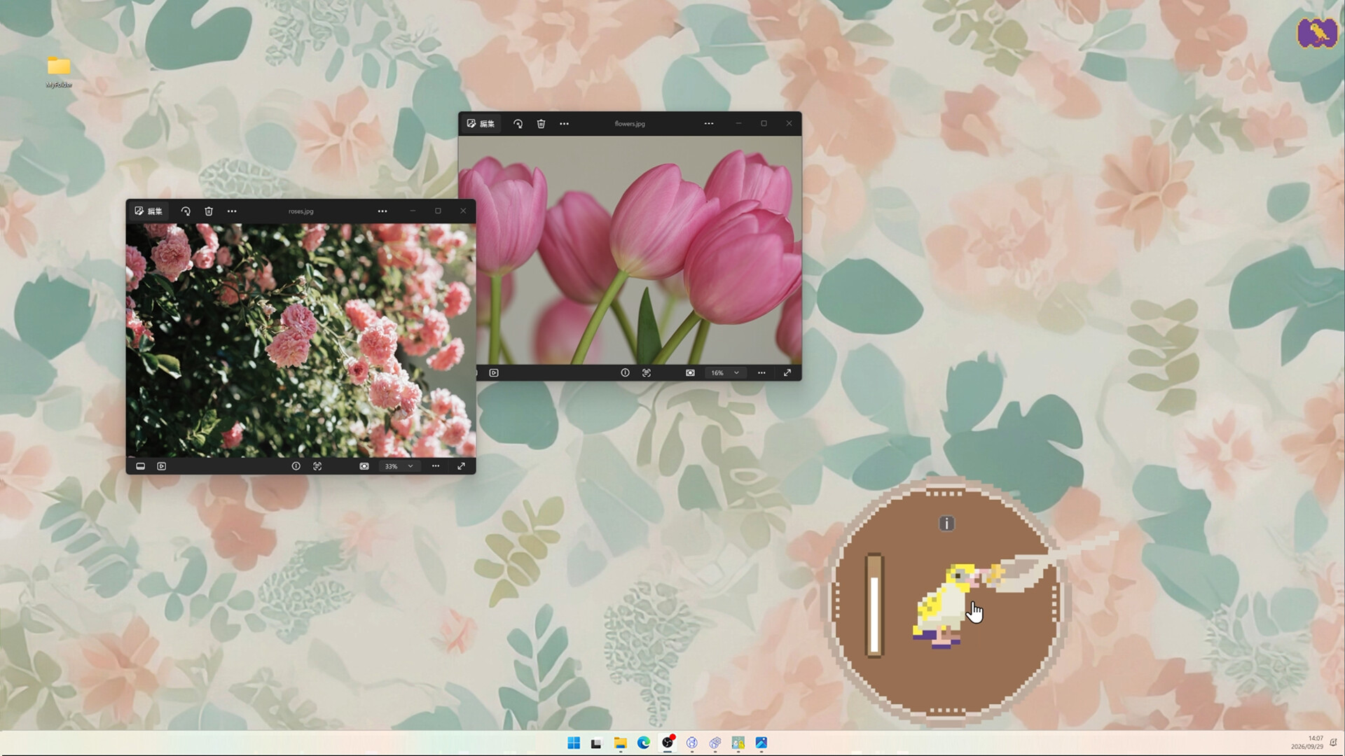 Talkie Budgie: Talks When Loved screenshot #8