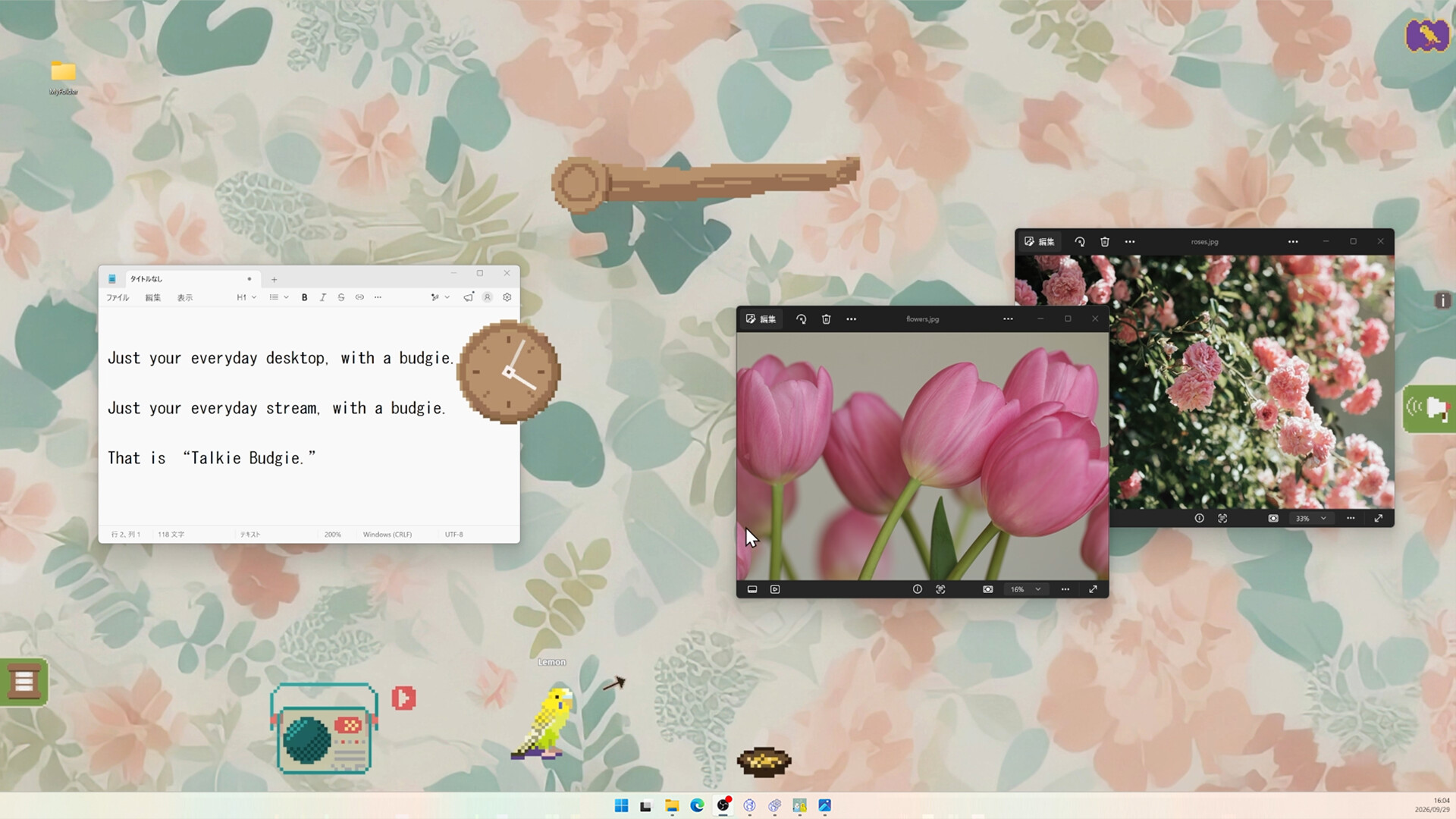 Talkie Budgie: Talks When Loved screenshot #3
