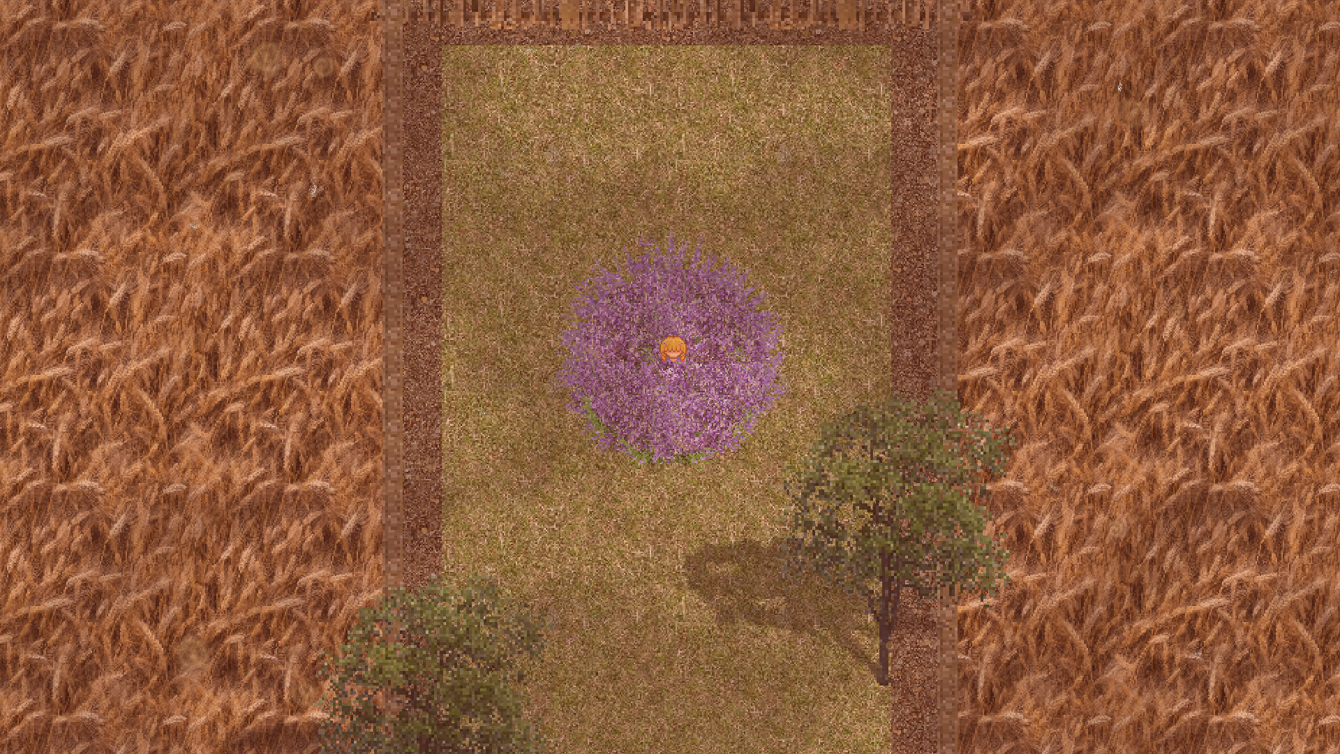 Minnow screenshot 11