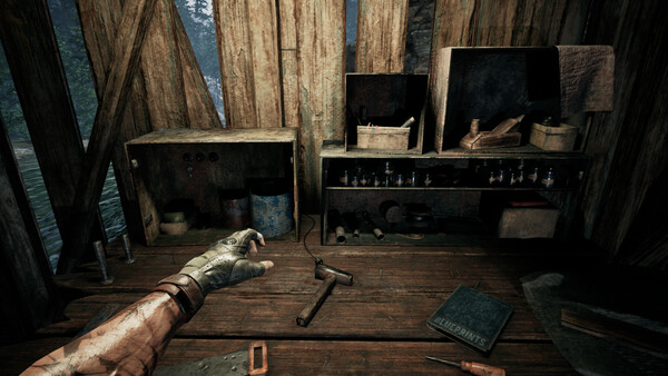 Screenshot media