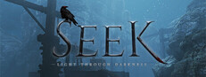 Seek: Light Through Darkness cover