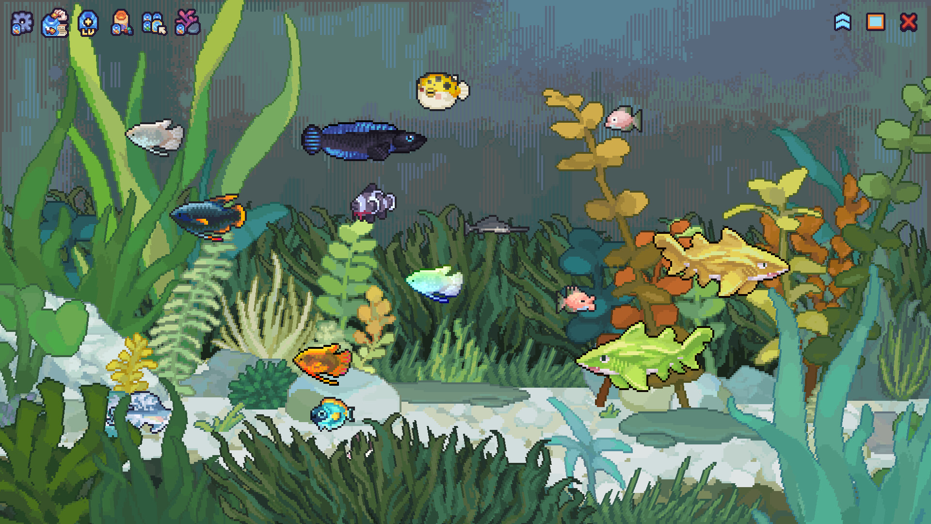 Orca Girl: Idle Fishing Story screenshot 4