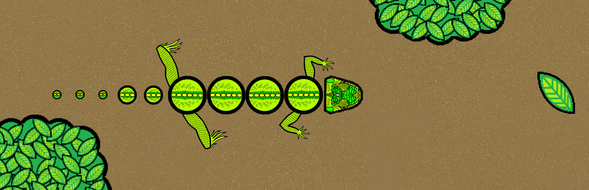 Run Run Iguana!