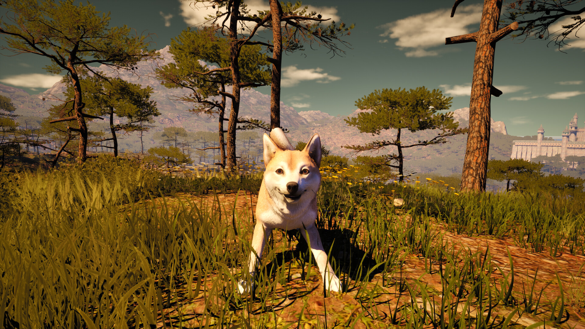 Medieval Shepherd screenshot #2