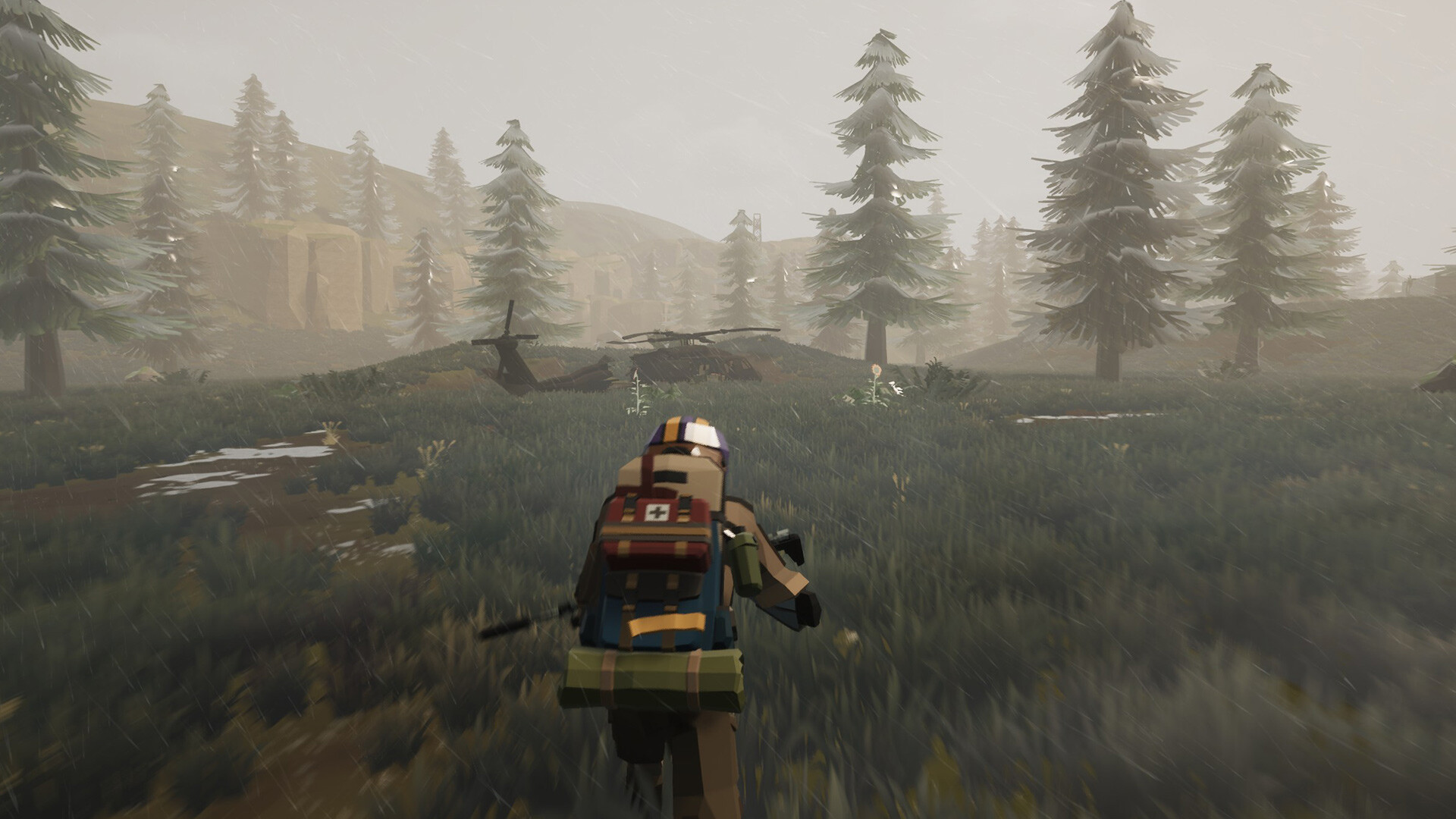 Not Quite Dead: Open World Survival