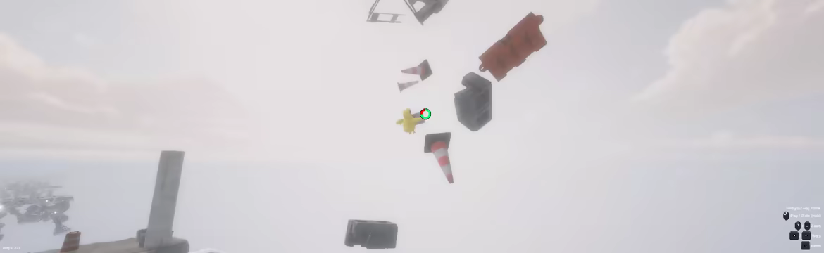 Birdflop video 2