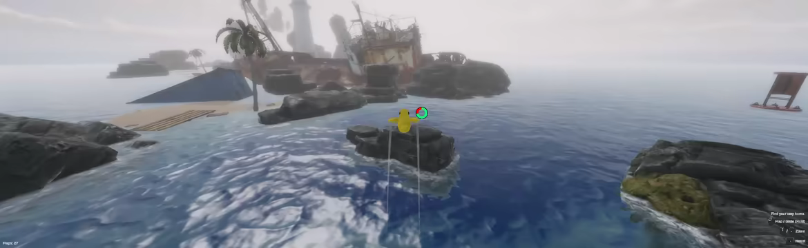Birdflop video 1
