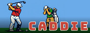 Capsule media