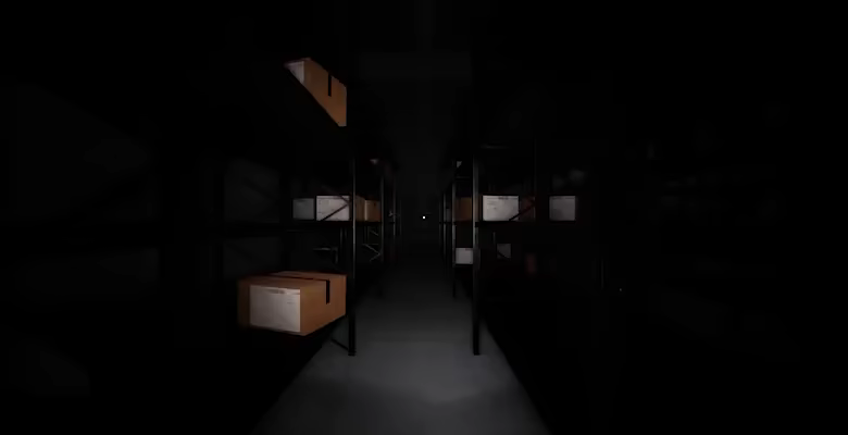 Delivery Control video 2