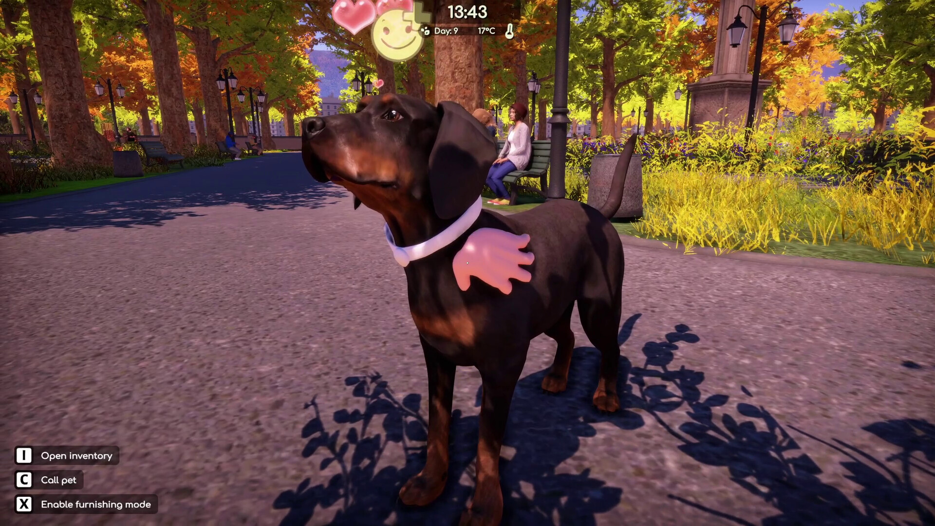 Animal Shelter 2 - Hunting Dogs Pack screenshot 16
