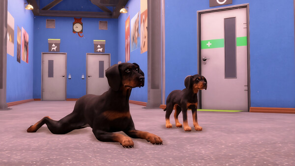 Animal Shelter 2 - Hunting Dogs Pack