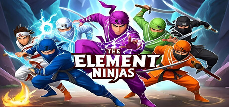 The Element Ninjas