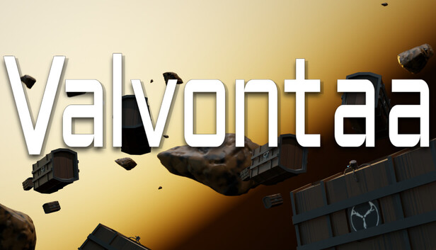 Valvontaa