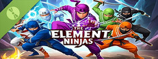 The Element Ninjas