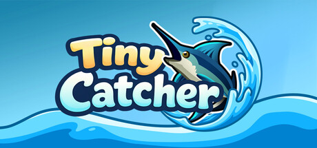 Tiny Catcher
