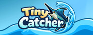 Tiny Catcher