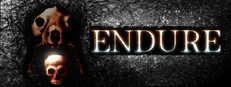 ENDURE cover