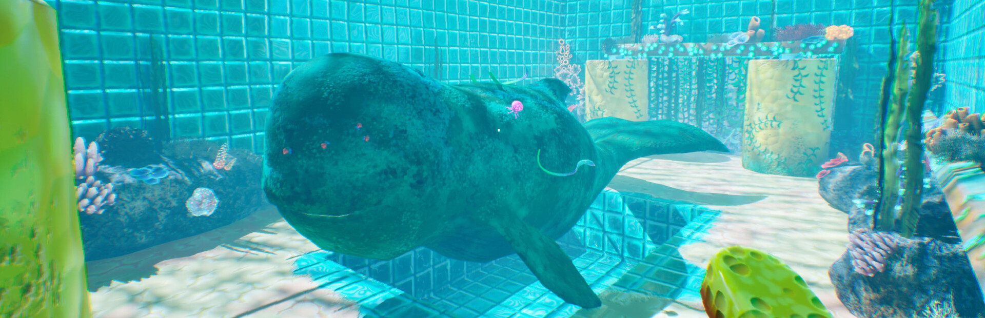 Whale Cleaner