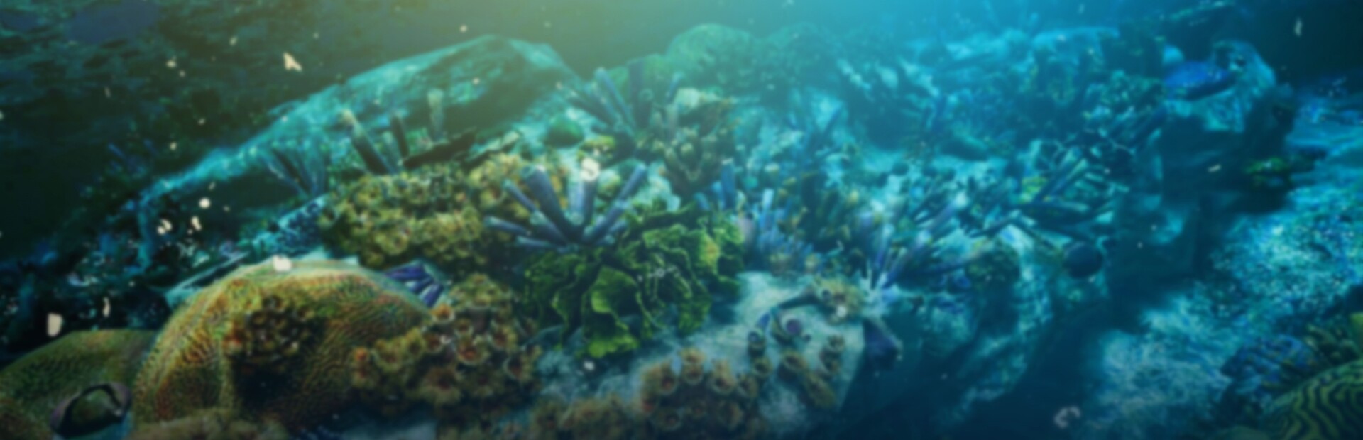 Deep Diving Adventures 2