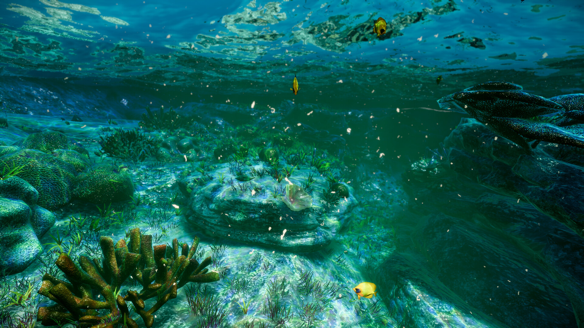 Deep Diving Adventures 2 screenshot #10