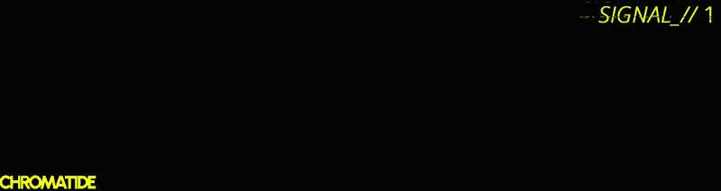 CHROMATIDE video 4