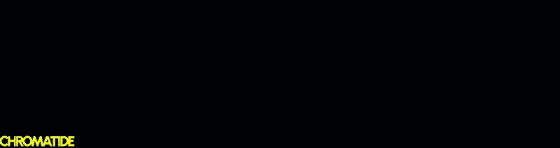CHROMATIDE video 13