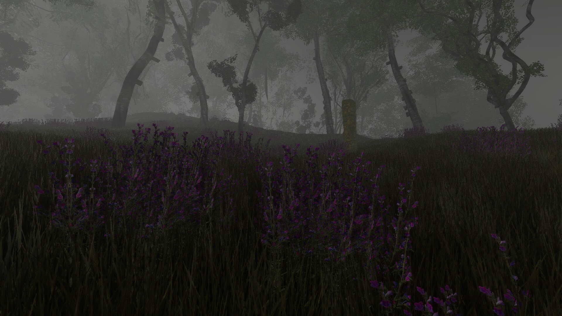 Pareidolia screenshot 4