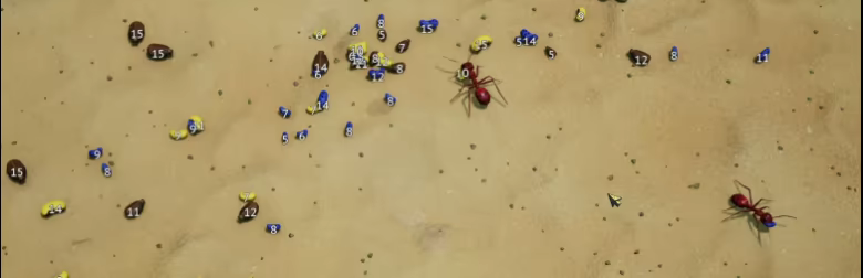 Empires of the Undergrowth video 4