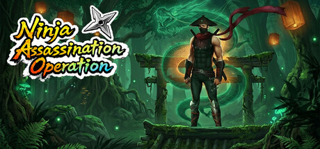 忍者刺杀行动