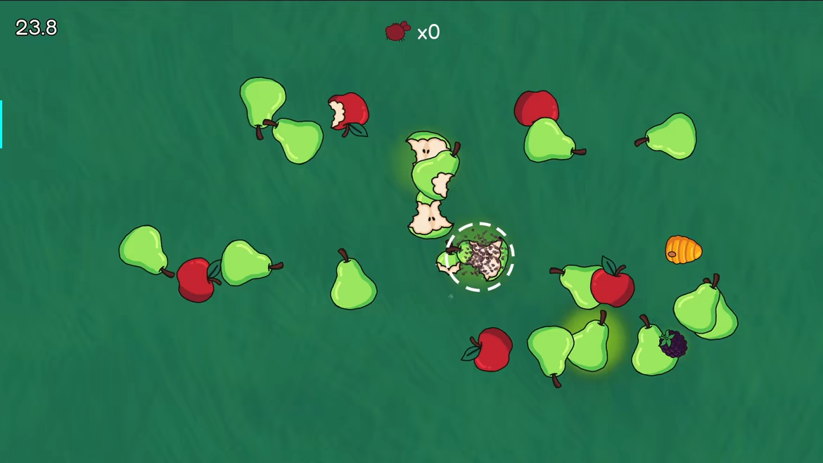 Gnat Pack video 4