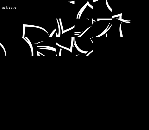 Flower Outline video 2