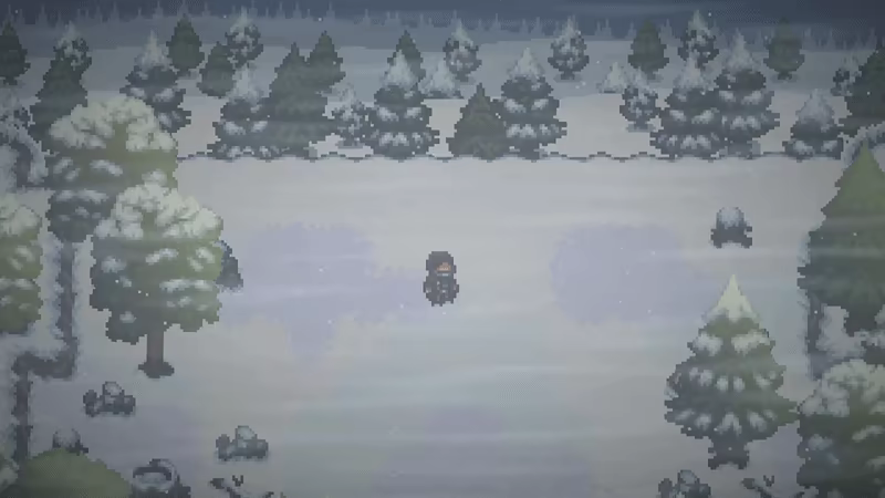 SOKOL video 1