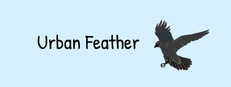 Urban Feather Banner