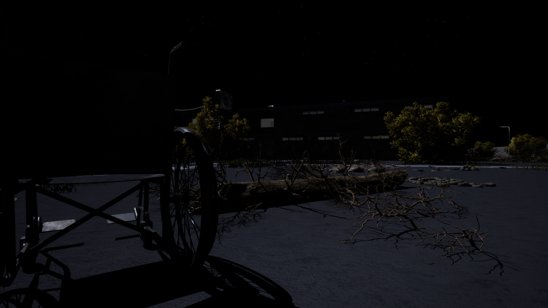 BLACKWALL ASYLUM