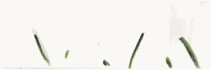 Garden Of Being video 1