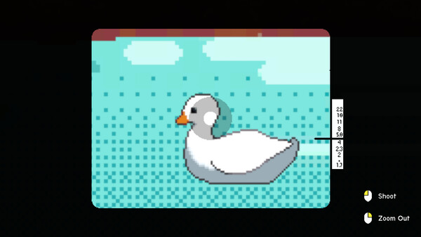 Duck Shoot