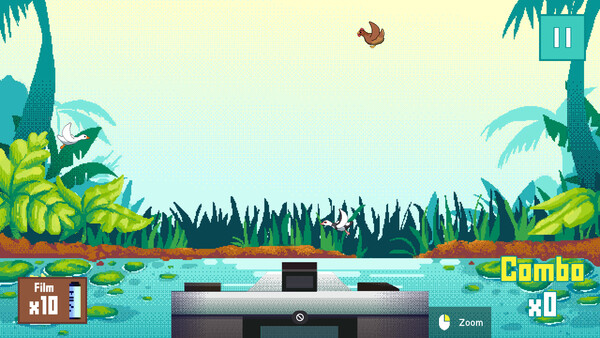 Duck Shoot