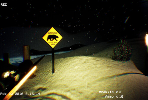 Screenshot media