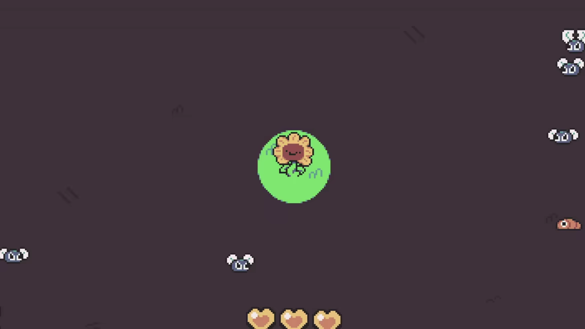 Turnflower video 1