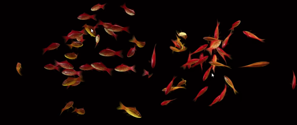 Goldfish Simulator video 1