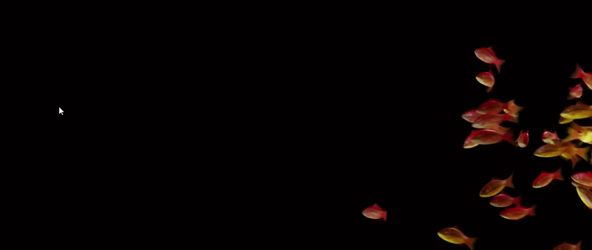 Goldfish Simulator video 2
