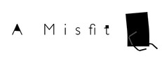 A Misfit Banner
