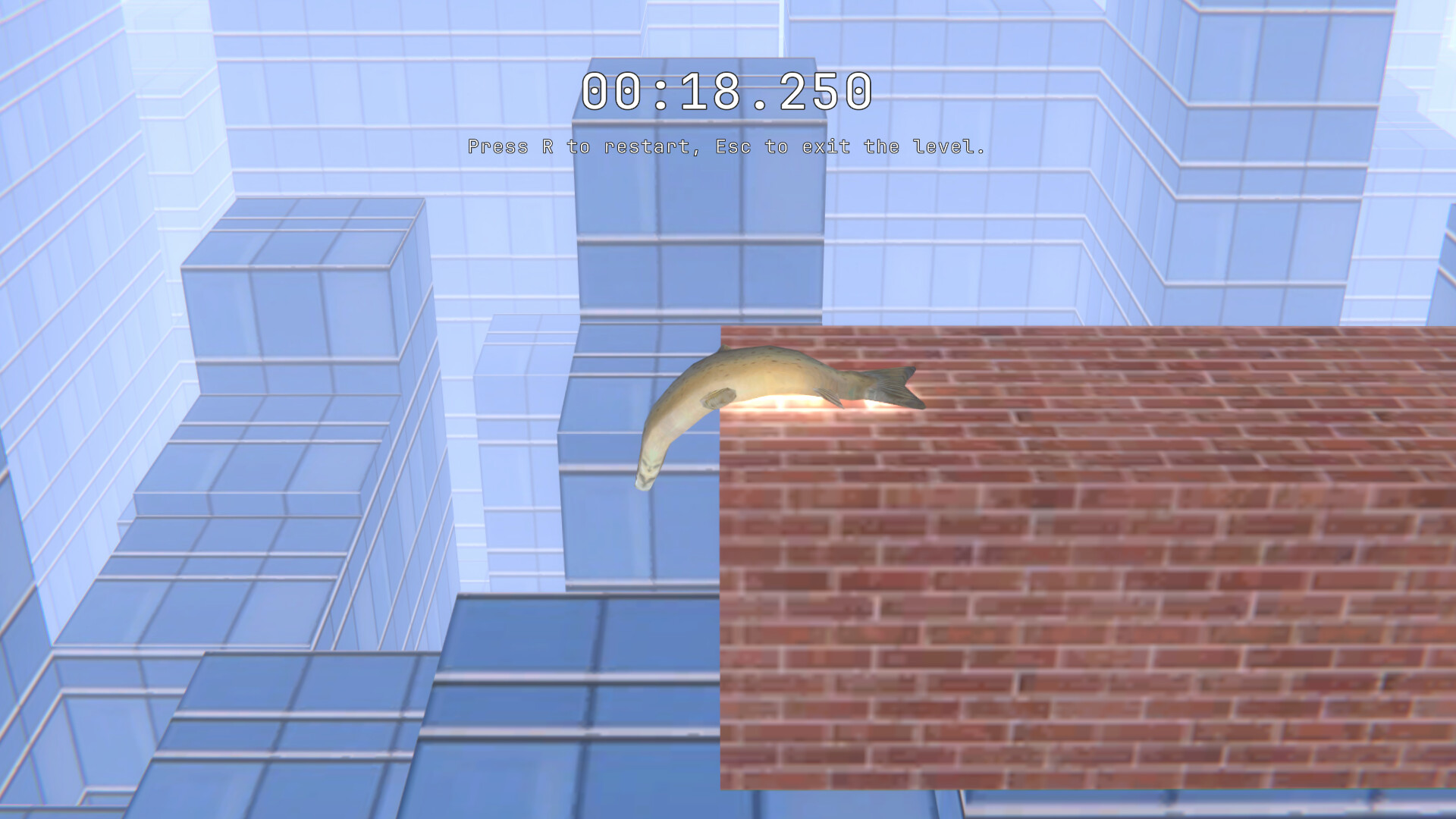 SALMON screenshot #1